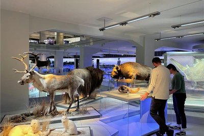 Gemeinsam erkundeten die "Kultur-Singles" 300.000 Jahre Menschheitsgeschichte im Smac.