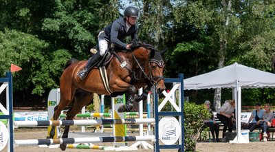 Martin Wittig vom RSV Altmittweida, hier auf Hermes Blue beim Auftaktspringen am Freitag, kam am Pfingstwochenende oft auf das Podest und unter die Platzierten. Auch einige weitere mittelsächsische Starter mischten teilweise vorn mit. 