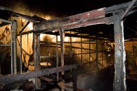 Zwei Gewächshäuser in der Nähe des Erzgebirgsklinikums stand am Dienstag in Annaberg-Buchholz in Flammen. 