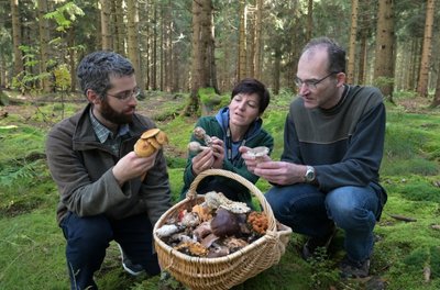 In der Jugendherberge Hormersdorf hatten die Mitglieder des Vereins Pilzberater Südwestsachsen Quartier bezogen. Von dort aus starteten sie in die umliegenden Wälder. Jörg Hunger aus Borstendorf, Sandra Heymann aus Morgenröte-Rautenkranz und Olaf Gebert aus Lugau (v. l.) begutachten ihre Ausbeute. 