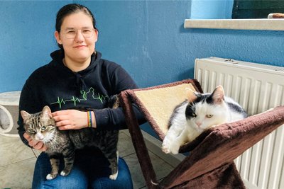 Auch Hannah Dornack kümmert sich in Bockau um Katzen wie Lilly und Felix. Die Stubentiger gehören zu einem Quartett – und suchen im besten Fall als Duo ein neues Zuhause.