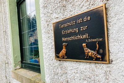 Tierschutz ist wertvoll – das sagt auch dieses Zitat am Eingang des Bockauer Tierheims, wo am 20. April Helfer beim ersten Arbeitseinsatz des Jahres willkommen sind.