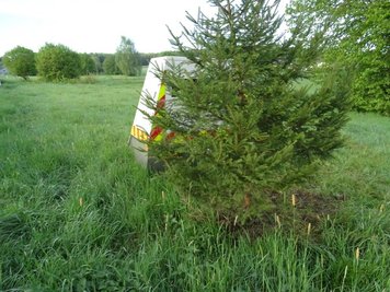 "Schmuckloser Baum behindert Radarmessung", meldete die Polizei Bitburg am Freitag.