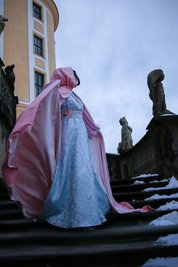 Um die Kopie des Aschenbrödel-Ballkleids fertigen zu können, recherchierte die junge Sächsin auch in Tschechien.