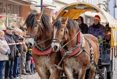 Genügend Platz gab es nach Meinung von Lukas Scholz, der mit Kutsche und Weihnachtsmannmütze am Umzug teilnahm. Angespannt waren zwei seiner Rheinisch-Deutschen Kaltblüter. 