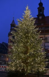 In Oederan hat der Weihnachtsbaum eine Höhe von 10,22 Metern. 