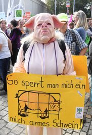 Tierschützer im Schweinekostüm bei der Demonstration "Mia ham's satt": Foodwatch kämpft gegen das Leid von Tieren, die in Riesenställen leben.