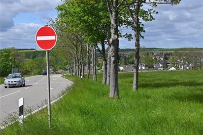 An der Reitzenhainer Straße in Mühlau sollen auf einem Wiesengrundstück bald Eigenheime gebaut werden. 