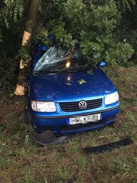 Der VW rutschte in den Graben und landete schließlich zwischen dem Abzweig Noßwitz und dem Ortseingang von Rochlitz im Baum.