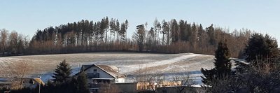 Sturmschäden im Wald auf dem Galgenberg in Schwarzenberg, hier der Zustand im Februar dieses Jahres.
