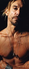 Iggy Pop - auf der Bühne immer noch ein Energiebündel.