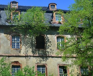 Ein Baum wächst durchs Dach, mehrere Fenster sind kaputt. Die Rückansicht zeigt: Schloss Neusorge ist in besorgniserregendem Zustand.