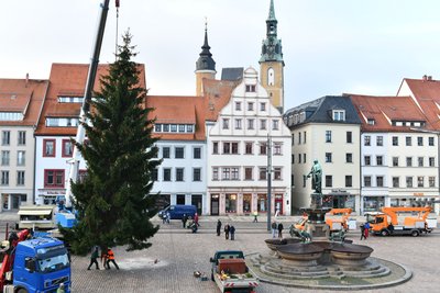 Der Weihnachtsbaum auf dem Freiberger Obermarkt ist am Dienstagvormittag aufgestellt worden.