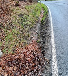 An der Falkensteiner Straße war zuletzt der Seitengraben mit Laub verstopft. Dadurch lief das Wasser auf die Fahrbahn. 