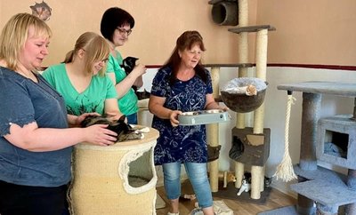 Die Auffangstation ist in einer Wohnung eingerichtet worden. In jedem Zimmer lebt eine bestimmte Anzahl Katzen. Eingerichtet sind die Räume mit Kratzbäumen und Schlafmöglichkeiten für die Tiere. 