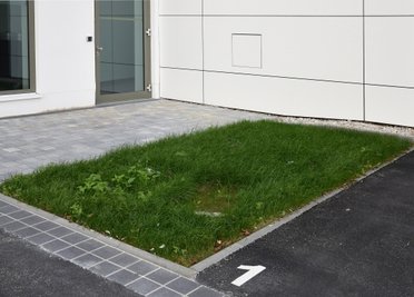 Kleines Rasenstück oder Begrünungskonzept?