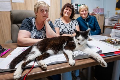 Audienz im Tierheim-Büro bei „Bürgermeister“ Volker und seinen Mitarbeiterinnen Antje Kausch, Angela Schulz und Katrin Soellner (von links).