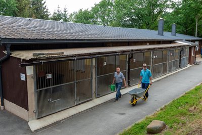 Bis zu 20 Hunde kommen im Tierheim Plauen unter. Pawlo Yemelianenko (links) und Klaus Baumann helfen bei ihrer Betreuung mit.