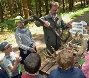 Forstmitarbeiter Michael Kisiel zeigt Kindern und Jugendlichen Jagdtrophäen. 