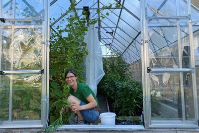 Mini-Melonen, Tomaten, Gurken, Paprika, Basilikum und mehr - Michal Feustel schmeckt auch die Arbeit im neuen Gewächshaus.
