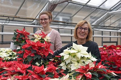 Karin Weißbach und Julia Boerner (von links) laden zum Adventsbasteln im Rahmen des Augustusburger Adventskalenderprojektes ein.