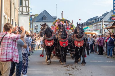 Der Festumzug zum Pferdetag lockte viele Besucher.