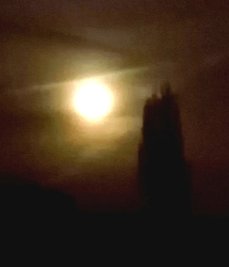 Das Vogtland ist eine Wucht. Christine Klose im Garten der Familie am Dorfrand von Rotschau. Von dort, vom nahen Feld oder aus dem Wohnzimmerfenster gibt es immer neue Lieblingsblicke - mal einen Regenbogen, mal sich auftürmende Wolken, mal die brütenden Rotschwänzchen.