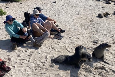 Seelöwen liegen hier überall einfach so rum. Sie lassen sich nicht einmal davon stören, dass Touristen ihre Schuhe ausziehen.