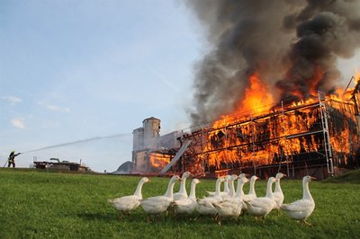 Das beste sächsische Lokalfoto des Jahres 2017.
