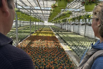 Viele farbenfrohe Pflanzen warten auf Käufer.