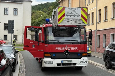 Angebranntes Essen hat in Aue einen Feuerwehreinsatz ausgelöst.