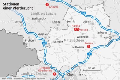Dem Züchter wird vorgeworfen, mit den Pferden von Landkreis zu Landkreis zu ziehen, um ein Halteverbot zu umgehen.