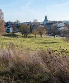 Der Blick von der Nordseite des geplanten Wohnbaugebiets in Richtung Kirche. 