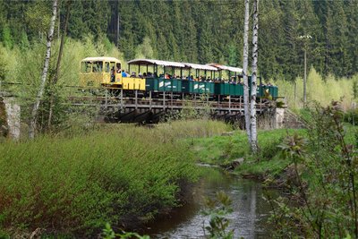 Auf knapp elf Kilometern fährt der Schienen-Express durch das Tal der Zwickauer Mulde.