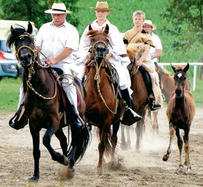In Wiesa gab es neben dem Sport wie immer viel fürs Auge: Bei der 35. Auflage des Reit-und Springturniers zeigte eine Gruppe aus Ursprung im Schauprogramm die peruanische Rasse Paso Peruano.