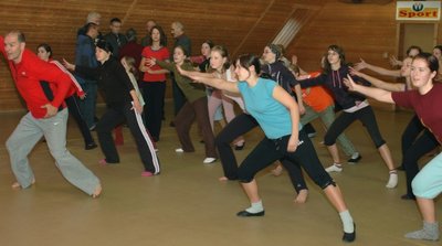 
              <p class="artikelinhalt">Ferienprogramm im Waldpark: 17 Mädchen aus dem Vogtland nehmen noch bis zum Wochenende an der Herbstwerkstatt des Sächsischen Landesverbandes Tanz teil.</p>
            