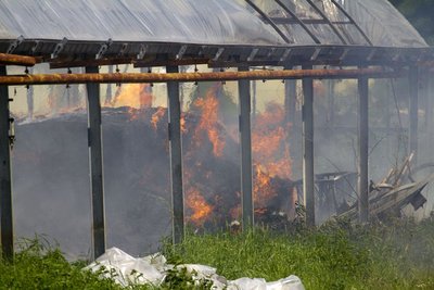 u einem Brand in einem Gewächshaus in Annaberg-Buchholz sind am Donnerstag 30 Feuerwehrleute ausgerückt.