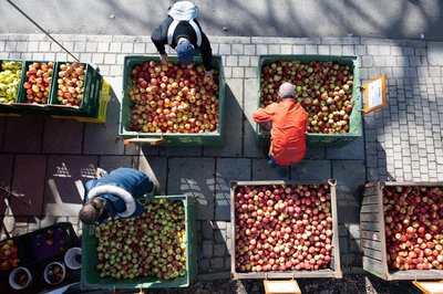 Die Inflationsrate dürfte laut Prognose der Wirtschaftsweisen in diesem Jahr durchschnittlich 3,0 Prozent betragen.