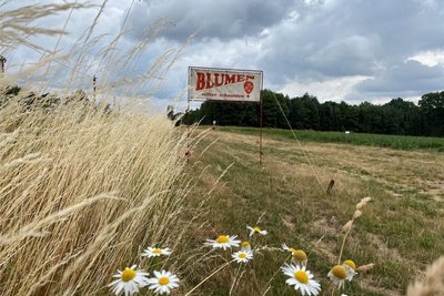 Frisch vom Feld sind Blumen besonders schön. Die Blumenfelder lassen sich meist schon von der Straße aus entdecken. Ein zusätzliches Schild hilft, die richtige Ausfahrt zu nehmen.