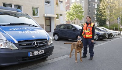 Suchhund April (Rasse Bloodhound) mit Hundeführerin