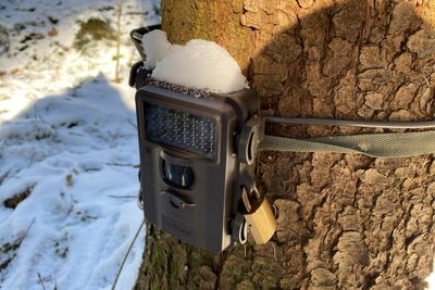 Eine Wildkamera an einer der vier Monitoring-Stationen im Zellwald bei Großvoigtsberg, hier ein Foto vom Februar 2025.