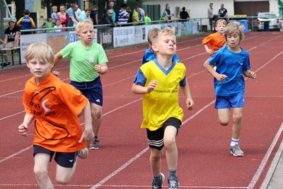 296 Grundschüler sind zum Kreisausscheid der Grundschulen angetreten.