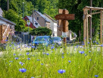 Auch das ist Ergebnis der Förderung von EU und Freistaat Sachsen: Wo einst ein leer stehendes Haus stand, ist nun eine Blühwiese. Für den Rückbau flossen rund 26.000 Euro Fördermittel.