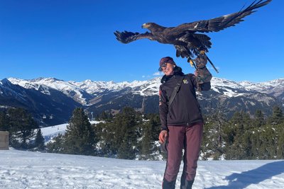 Waltraud Wechselberger trainiert im Skigebiet Mayrhofen Greifvögel wie diesen Steppenadler.