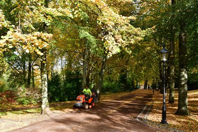 Der Albertpark in Freiberg.