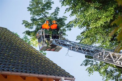 Die Feuerwehr entfernte mit einer Kettensäge die Gefahrenquelle.