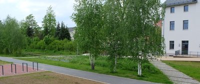 Im Lugauer Stadtpark ist noch offen, ob der Radweg über die Gleise oder den bereits gebauten parallelen Weg verläuft. Rechts: der ehemalige Bahnhof.