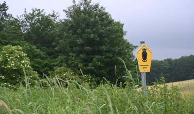 Als Flächennaturdenkmal sind zwei Gebiete am Kieferberg in Burgstädt ausgewiesen. Jetzt ist ein weiterer Bereich am Quellgebiet Sturzbach unter besonderen Schutz gestellt worden - mit Konsequenzen. 