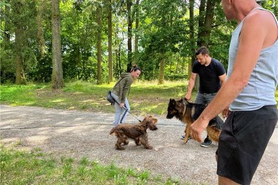 Balou trifft Balou. Zirkushund Balou (rechts) begrüßt spontan den ebenfalls auf Balou hörenden Hund von Aileen Erber am Gastspielgelände. Die Vogtländerin war angetan und kommt wieder - dann mit Sohn Lenny zur Vorstellung.
