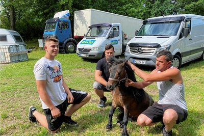 Bei den Küblers macht nicht nur Hund Balou sitz: Pony Goliath mit Renado Kübler (rechts) sowie den Söhnen Risto (links) und Jordan.